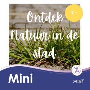 Mini Ontdek natuur in de stad